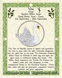 Vine-Swan-Celtic-Lunar-Zodiac-Sign-Print-Druid-Tree-Lore Astrology Art- Sept Birthdays Pagan Altar Decor