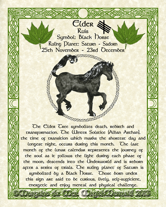 Elder-Black-Horse-Celtic-Lunar-Zodiac-Sign-Print-Druid-Tree-Lore Astrology Art Nov-Dec-Birthdays Pagan Altar Decor