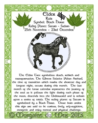 Black-Horse-Elder Celtic-Lunar-Zodiac-Sign-Print-Druid-Tree-Lore Astrology Art Nov-Dec-Birthdays Pagan Altar Deco