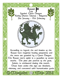 Green-Dragon-Rowan-Celtic-Lunar-Zodiac-Sign-Print-Druid-Tree-Lore Astrology Art-Jan-Feb Birthdays Pagan Altar Decor